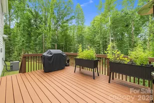 11125 Dappled Lgt Trl, Mint Hill, NC 28227 - Photo 28