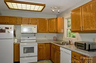 165 Peepeye Cove Rd, Leicester, NC 28748 - Photo 10