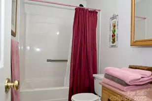 165 Peepeye Cove Rd, Leicester, NC 28748 - Photo 8