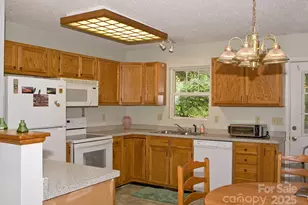 165 Peepeye Cove Rd, Leicester, NC 28748 - Photo 12