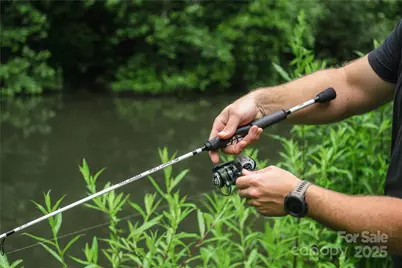 4050 Pickens Highway, Rosman, NC 28772 - Photo 30