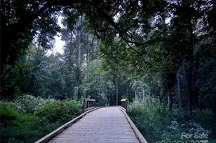 310 Elm St, Lancaster, SC 29720 - Photo 40