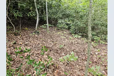 99999 Majestic Trace #25, Hendersonville, NC 28739 - Photo 4