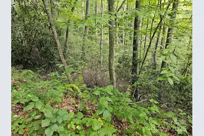 99999 Majestic Trace #25, Hendersonville, NC 28739 - Photo 38