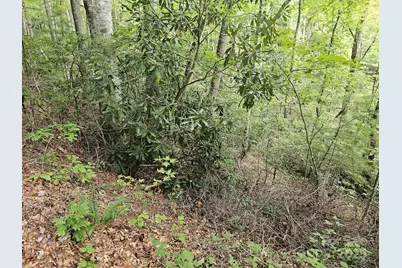 99999 Majestic Trace #25, Hendersonville, NC 28739 - Photo 10