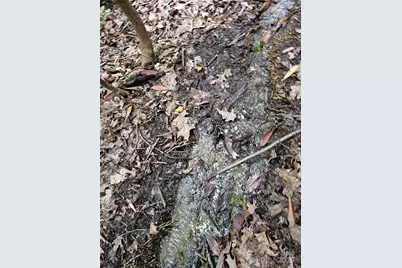 99999 Majestic Trace #25, Hendersonville, NC 28739 - Photo 44