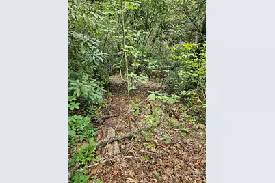 99999 Majestic Trace #25, Hendersonville, NC 28739 - Photo 36