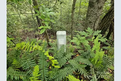 99999 Majestic Trace #25, Hendersonville, NC 28739 - Photo 34