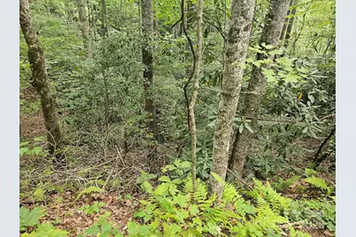 99999 Majestic Trace #25, Hendersonville, NC 28739 - Photo 22