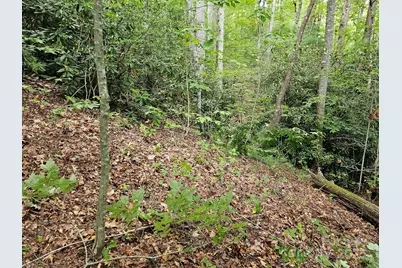 99999 Majestic Trace #25, Hendersonville, NC 28739 - Photo 40