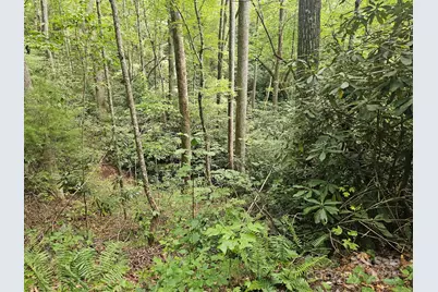 99999 Majestic Trace #25, Hendersonville, NC 28739 - Photo 24