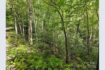 99999 Majestic Trace #25, Hendersonville, NC 28739 - Photo 26