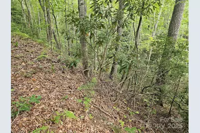 99999 Majestic Trace #25, Hendersonville, NC 28739 - Photo 8