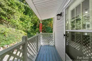 3 Crabapple Ln, Candler, NC 28715 - Photo 6