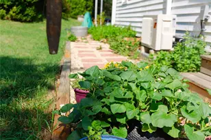 607 Fred Sparks Rd, Bakersville, NC 28705 - Photo 30