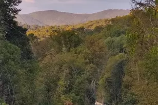 607 Fred Sparks Rd, Bakersville, NC 28705 - Photo 2