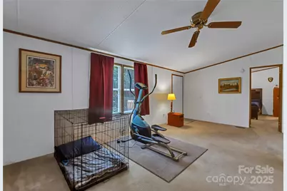 43 Goose Creek Road, Swannanoa, NC 28778 - Photo 6