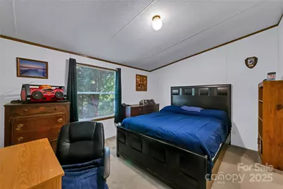 43 Goose Creek Road, Swannanoa, NC 28778 - Photo 10