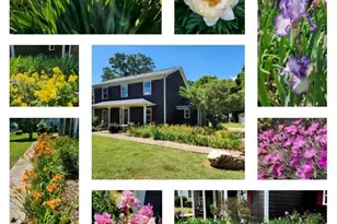 8809 Fairview Rd, Mint Hill, NC 28227 - Photo 6