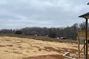 118 Swan Pk Ln, Statesville, NC 28625 - Photo 28