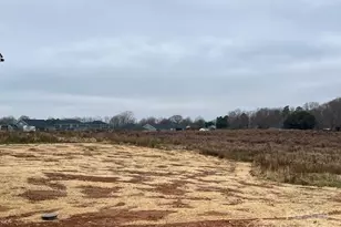 118 Swan Pk Ln, Statesville, NC 28625 - Photo 26