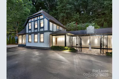 30 All Souls Crescent, Asheville, NC 28803 - Photo 6