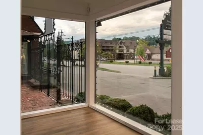 30 All Souls Crescent, Asheville, NC 28803 - Photo 18