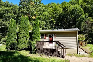 320 Pacer Trail, Canton, NC 28716 - Photo 1