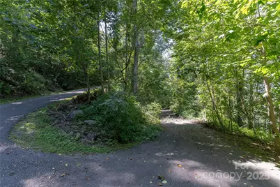52 Castanea Mountain Drive, Asheville, NC 28803 - Photo 6