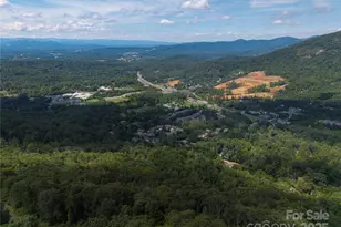 52 Castanea Mountain Dr, Asheville, NC 28803 - Photo 1