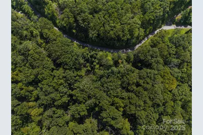 52 Castanea Mountain Drive, Asheville, NC 28803 - Photo 2