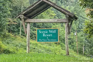 161 Scenic Wolf Dr, Mars Hill, NC 28754 - Photo 30