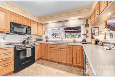 75 S Black Oak Drive, Asheville, NC 28804 - Photo 4