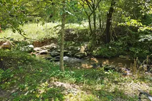 2459 Camp Creek Rd, Union Mills, NC 28167 - Photo 26