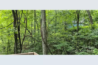 607 Rocky Top Trail, Barnardsville, NC 28709 - Photo 42