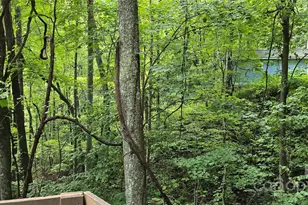 607 Rockytop Trl, Barnardsville, NC 28709 - Photo 42