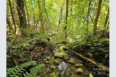 112 Steinwald Trail, Waynesville, NC 28786 - Photo 10