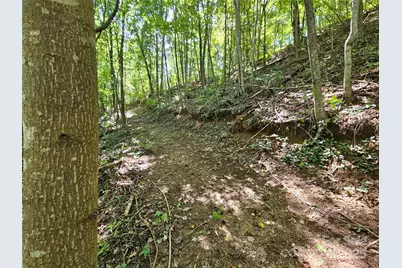 112 Steinwald Trail, Waynesville, NC 28786 - Photo 4