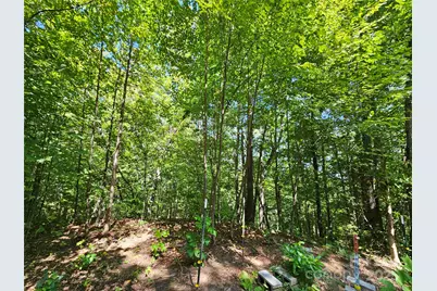 112 Steinwald Trail, Waynesville, NC 28786 - Photo 18