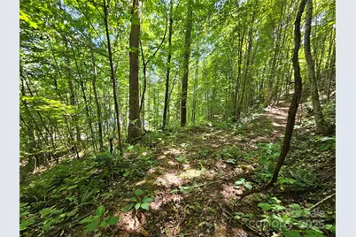 112 Steinwald Trail, Waynesville, NC 28786 - Photo 6