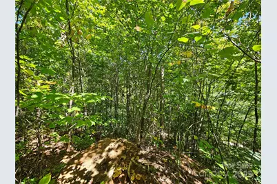 112 Steinwald Trail, Waynesville, NC 28786 - Photo 16
