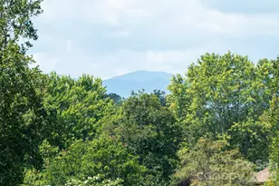 224 Oak Mdw Ln, Asheville, NC 28804 - Photo 26