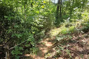 288 Long Ridge Rd, Old Fort, NC 28762 - Photo 42