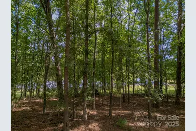 118 Aiken Street, Forest City, NC 28043 - Photo 30