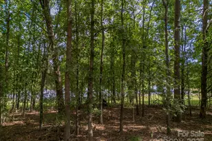 118 Aiken St, Forest City, NC 28043 - Photo 30