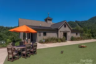 85 Dawn Ln, Canton, NC 28716 - Photo 44