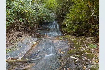 273 Davids Trace, Pisgah Forest, NC 28768 - Photo 4