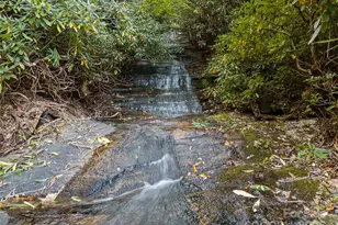 273 David's Trce, Pisgah Forest, NC 28768 - Photo 4