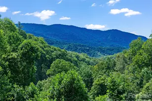 710 Greasy Creek Rd, Bakersville, NC 28705 - Photo 4