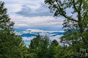 1024 Arrowhead Ridge Rd, Spruce Pine, NC 28777 - Photo 10